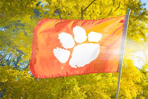 Tiger Paw flag with yellow tree 2 | A Clemson University tig… | Flickr