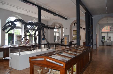 Lapworth Museum Re-opens – BCGS