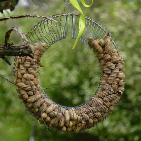 Consider Bird Seed Wreath a Viable Solution | Birdcage Design Ideas