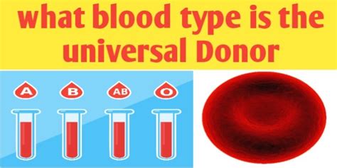 What blood type is the universal Donor ? - Biologysir