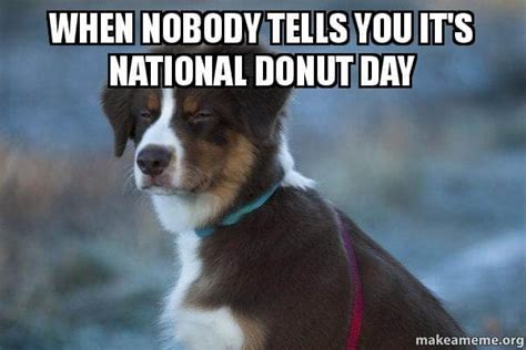 National Dog Day Memes: Funny Dog Memes Image & Pictures