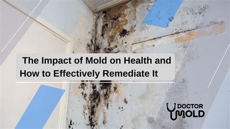 The Impact of Mold on Health and How to Effectively