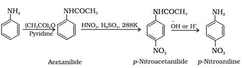 Reactions of Amines - Electrophilic Substitution, Nucleophilic Substitution