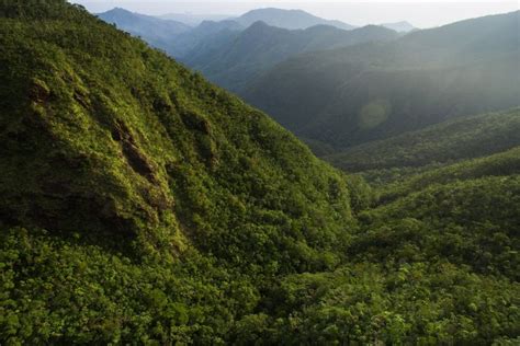 Mount Hamiguitan World Heritage Book Project | Photographer Jacob Maentz