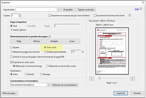 How to obtain a monegasque passport