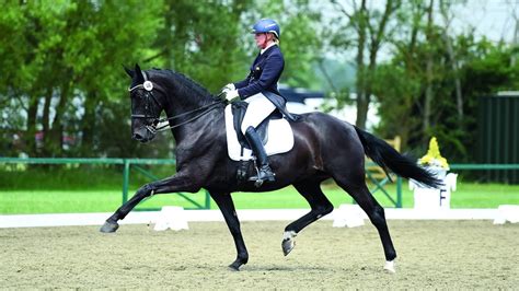 How does a horse trot? H&H's essential guide to the diagonal pace