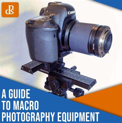 Your Guide to Macro Photography Equipment (10 Tips)