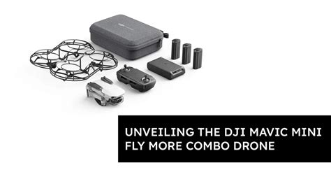 Unveiling the DJI Mavic Mini Fly More Combo Drone - Jetayu Gadgets ...