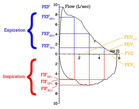 Spirometry - Academic Kids