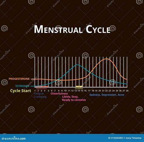 Menstrual Cycle. Menstruation, Ovulation. Hormones Estrogen and Progesterone. Menstrual Cycle ...