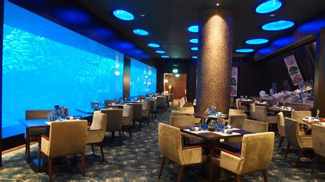 Pin by Safura Rustemzade on Sea theme interior | Ocean restaurant ...