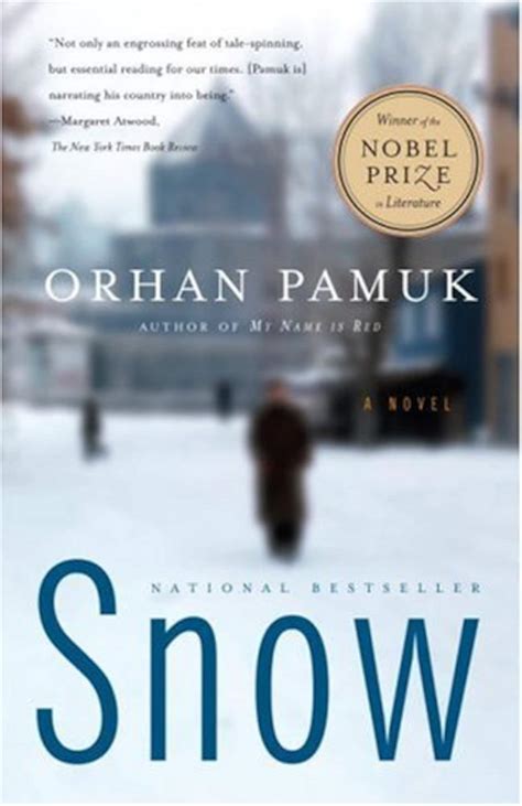 The perfect snowstorm book for every reader - The Washington Post