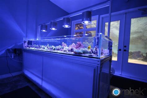 ปักพินในบอร์ด Cool Fish Tanks