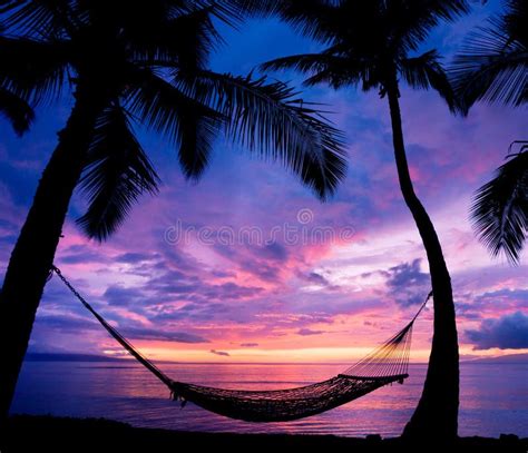 Sunset Hammock stock image. Image of silhouette, relaxation - 22033903