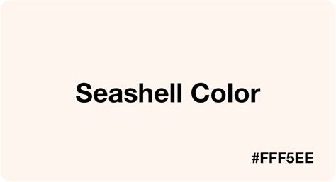 Seashell Color: Best Practices, Color Codes, Palettes & More!