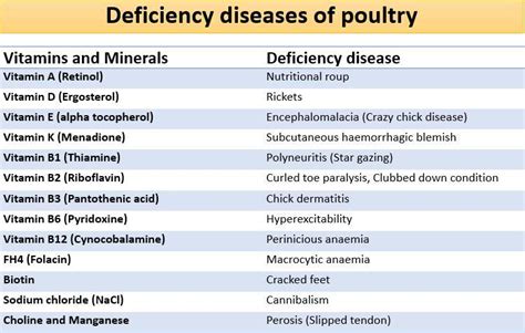 name various vitamins and their deficiency diseases - Brainly.in