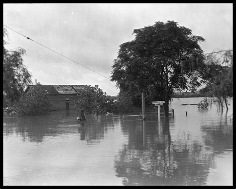 The Great Flood - Side 1 of 1 - The Portal to Texas History