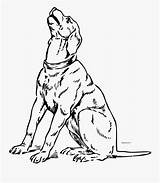 Dog Barking Coloring Page Pages sketch template