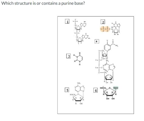 Solved Which structure is or contains a purine base? | Chegg.com