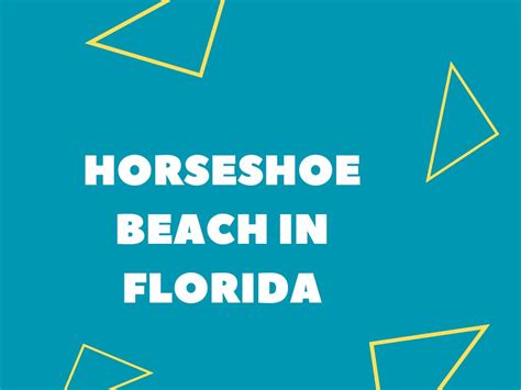 Horseshoe Beach In Florida (Local Guide)