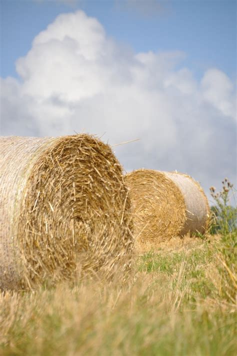 Hay bales 6 Free Photo Download | FreeImages