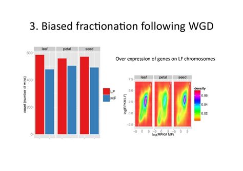 Whole genome duplication and diversification of plant genomes