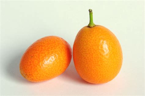 File:Kumquat-0245.jpg - Wikimedia Commons