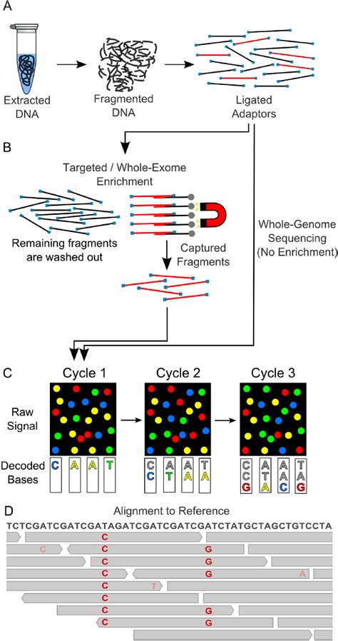 Illumina Next Generation Sequencing