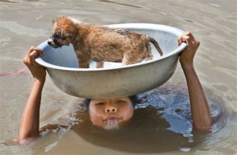 These 21 Acts of Kindness Towards Animals Are So Special. I Teared up ...