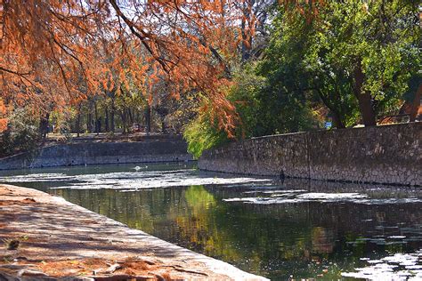 The Ultimate Guide to Brackenridge Park San Antonio