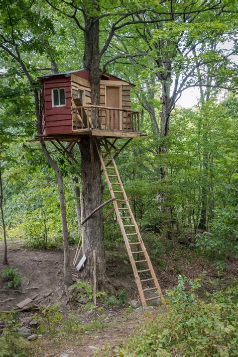 Treehouses For Kids