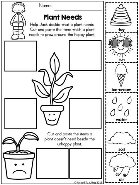 What plants needs | Hojas de trabajo jardín de infancia, Hojas de ...