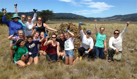 Kent Island Project, Bolinas Lagoon Restoration | Greater Farallones ...