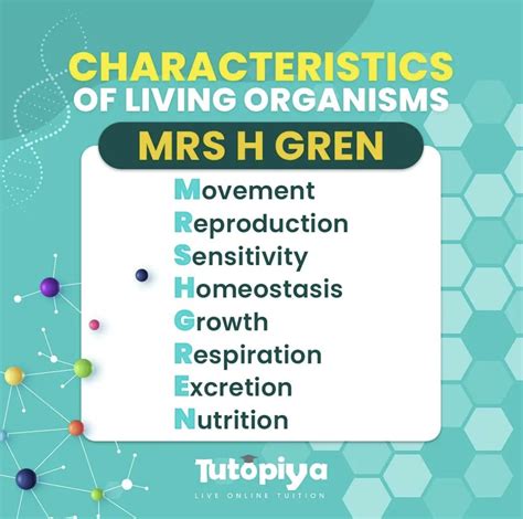 Characteristics of Living Organisms | Cambridge IGCSE Biology - Tutopiya