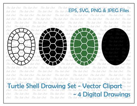 Turtle Shell Vector Clipart Set / Outline & Stamp Drawing - Etsy Canada