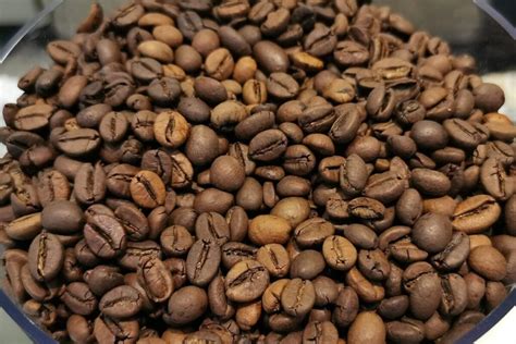 Types Of Coffee 101: Beans, Roasts, Brewing Methods & Drinks