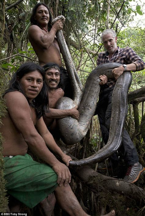 World's Longest Anaconda Discovered in Amazon Forest