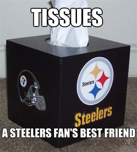 Steelers Fan Meme