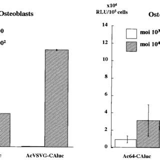 Gene transduction into primary mouse osteoblast (left) and osteoclast... | Download Scientific ...