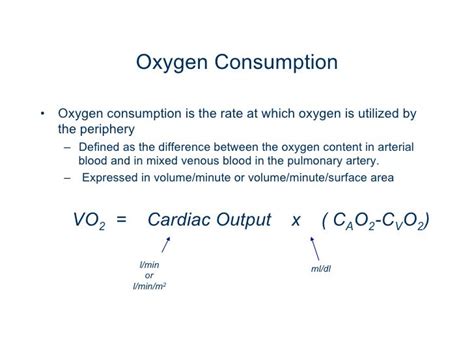 09.12.08(a): Gas Exchange