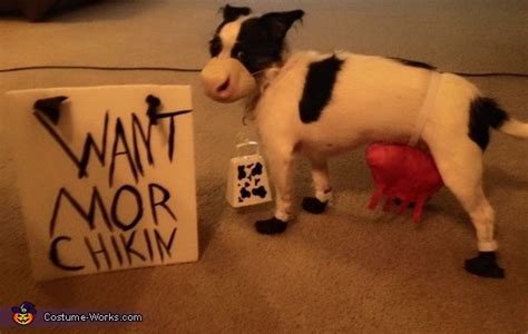 Chick Fil A Cow Dog's Costume | Creative DIY Costumes