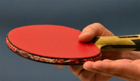 What Is the Standard Dimensions and Size of Ping Pong Paddle?