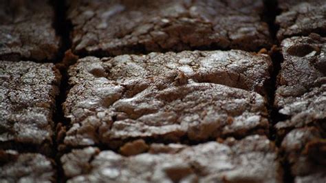 Deep Dish Brownies Recipe - Food.com