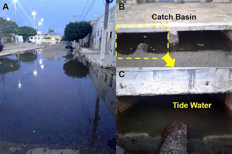 NHESS - Tidal flood area mapping in the face of climate change ...