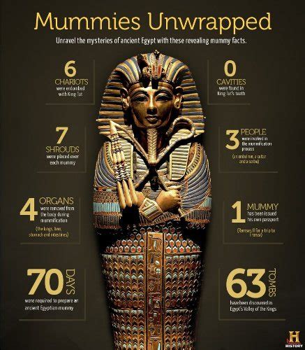 10 Interesting Mummy Facts | My Interesting Facts