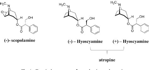 Figure 1 from Are tropane alkaloids present in organic foods? Detection of scopolamine and ...