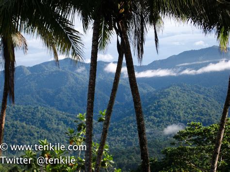 Protecting the Torricelli Mountain Range - Tenkile Conservation ...