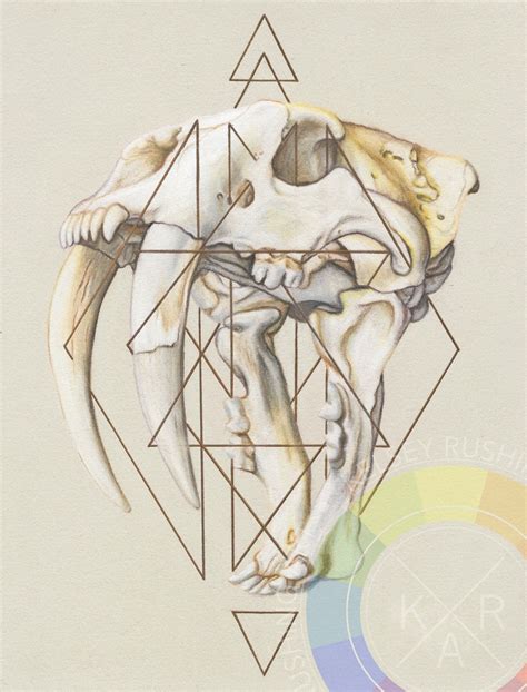 Sabertooth Skull Art Print