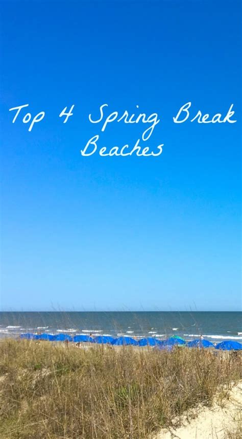 Top 4 Best Spring Break Beaches - Mackinaw Road