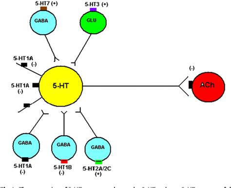 Figure 1 from The role of dorsal raphe nucleus serotonergic and non ...